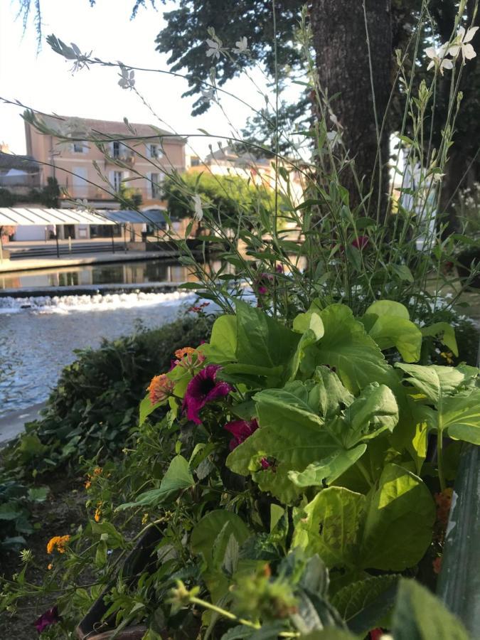 Petit Reve Lejlighed LʼIsle-sur-la-Sorgue Eksteriør billede